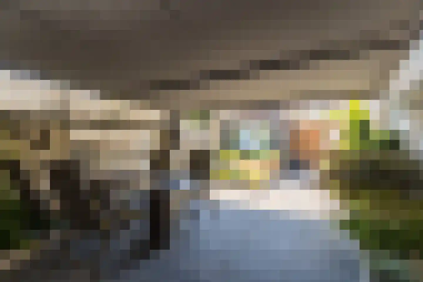 Dilleveld 48 Veghel thumbnail 40