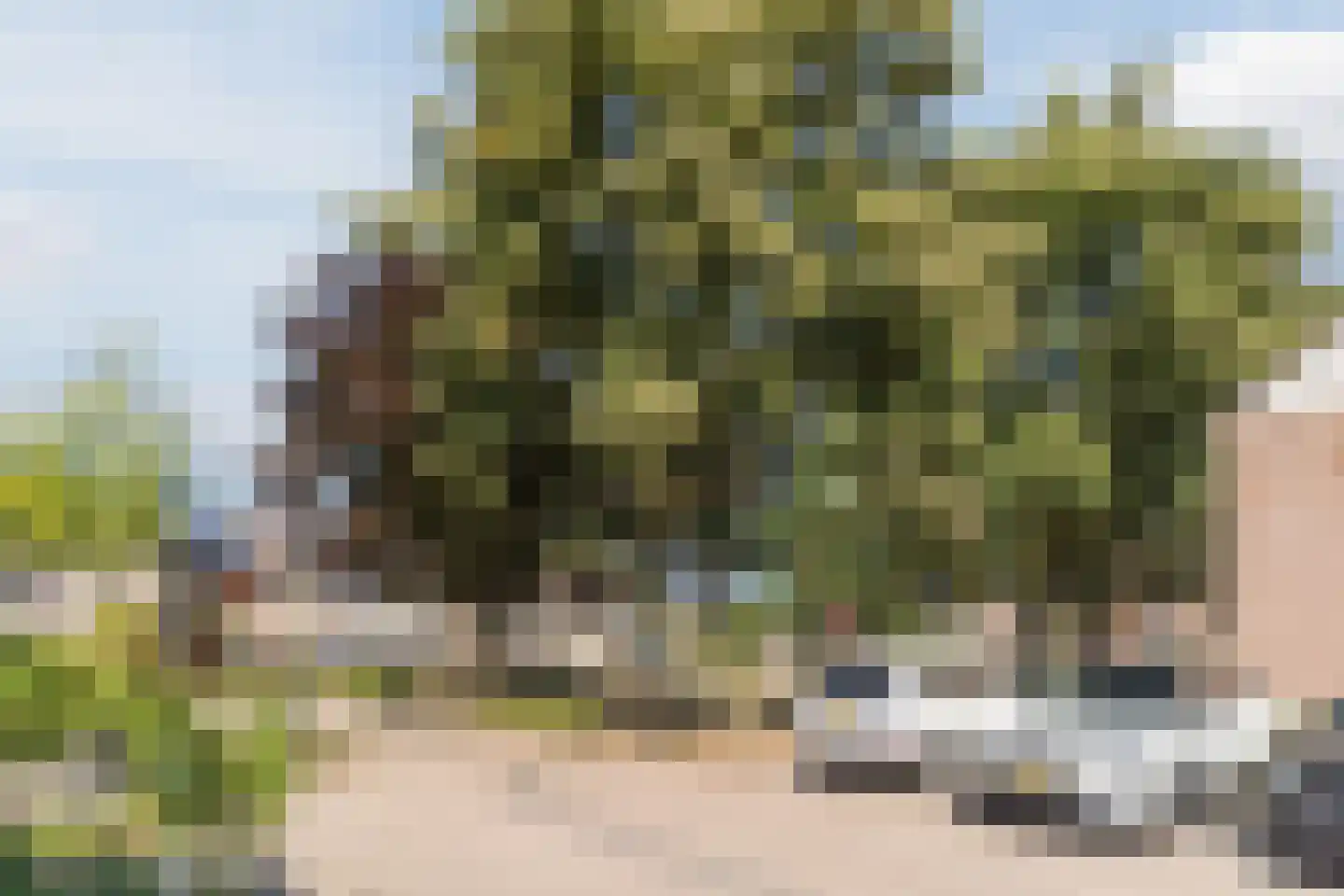 Dilleveld 48 Veghel thumbnail 49