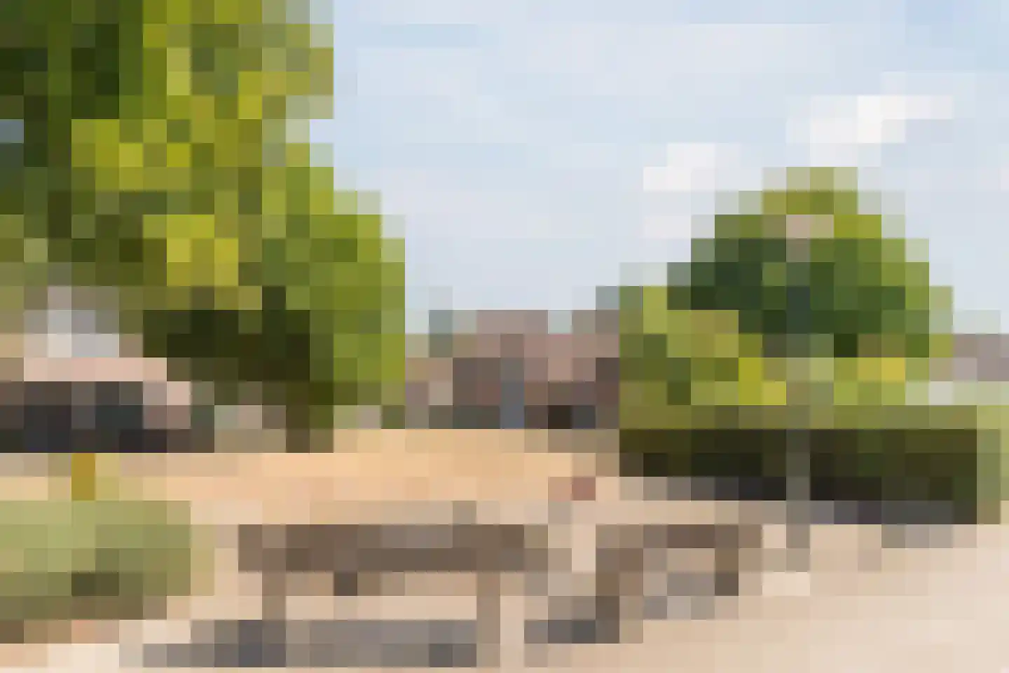 Dilleveld 48 Veghel thumbnail 53