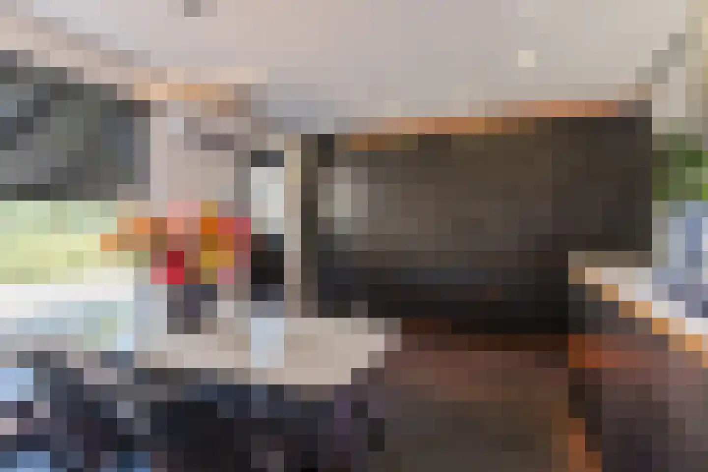 Dilleveld 48 Veghel thumbnail 7
