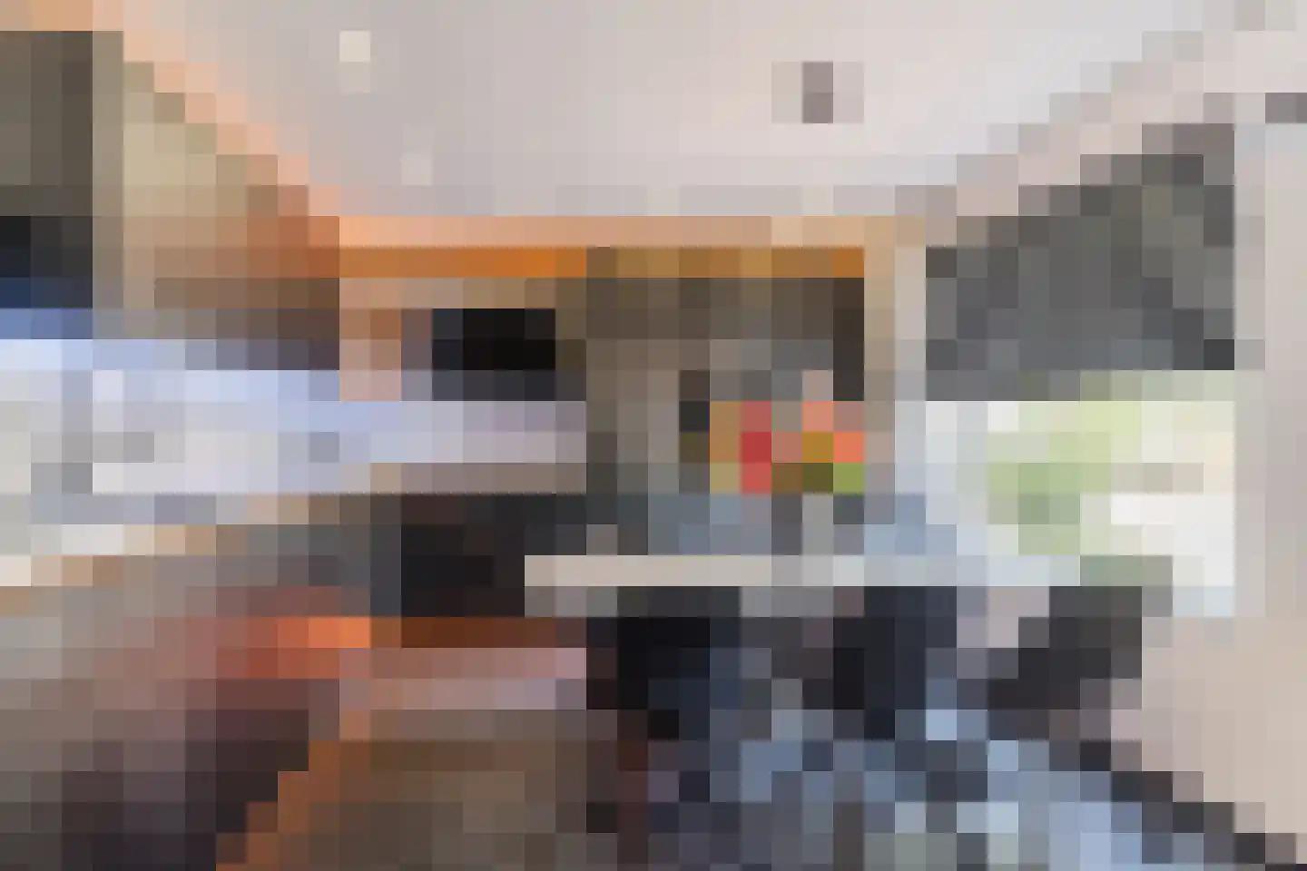 Dilleveld 48 Veghel thumbnail 8