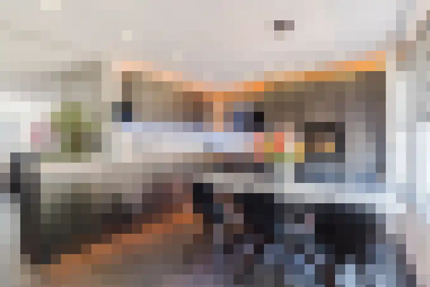 Dilleveld 48 Veghel thumbnail 9