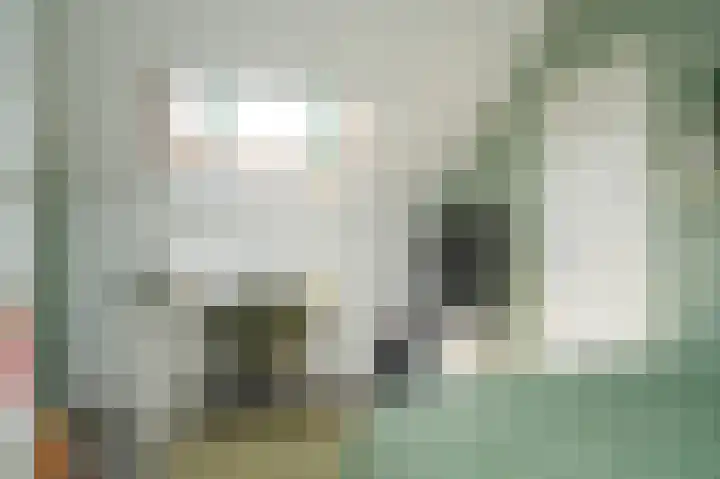 Dilleveld 55 Veghel thumbnail 24