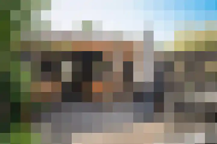 Dilleveld 55 Veghel thumbnail 27