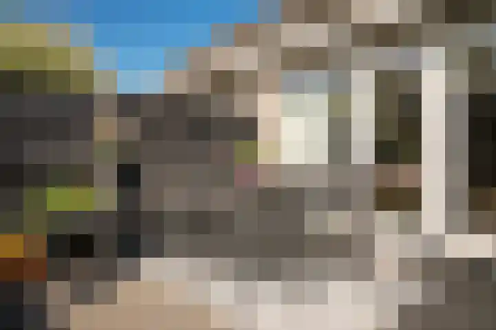Dilleveld 55 Veghel thumbnail 29