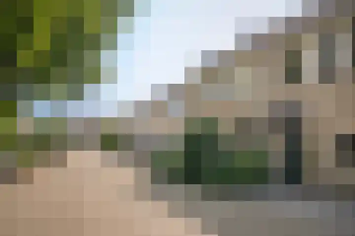 Dilleveld 55 Veghel thumbnail 31