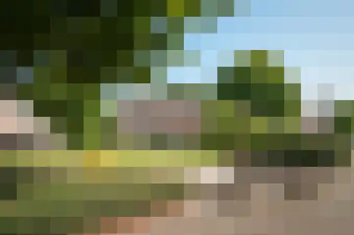 Dilleveld 55 Veghel thumbnail 32