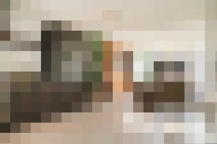 Dilleveld 55 Veghel thumbnail 4