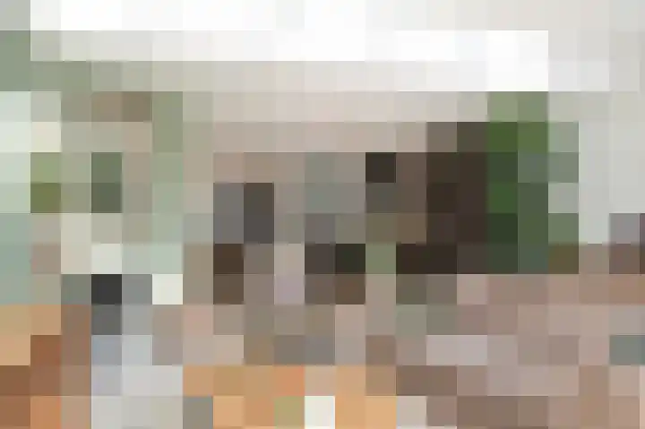 Dilleveld 55 Veghel thumbnail 8