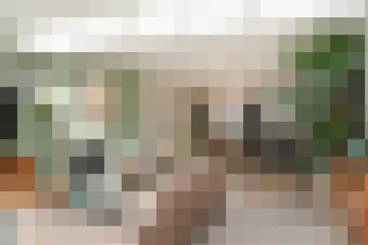 Dilleveld 55 Veghel thumbnail 9