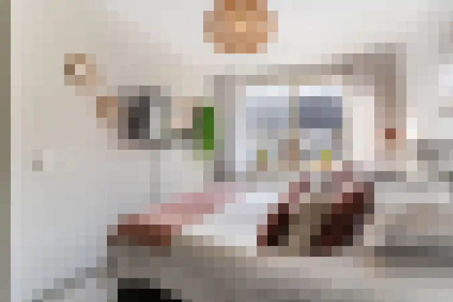 Dilleveld 69 Schiedam thumbnail 19