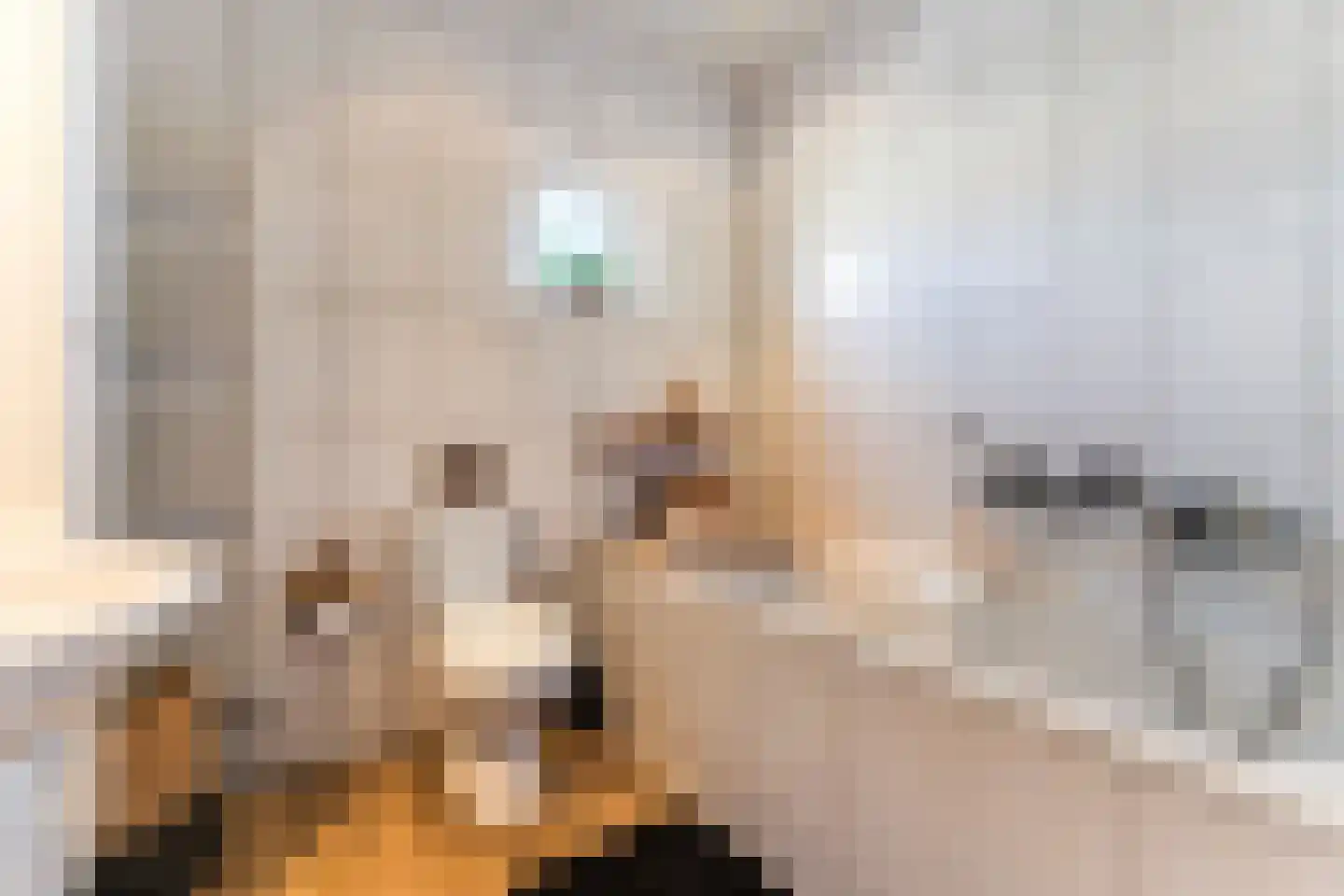 Dilleveld 69 Schiedam thumbnail 23