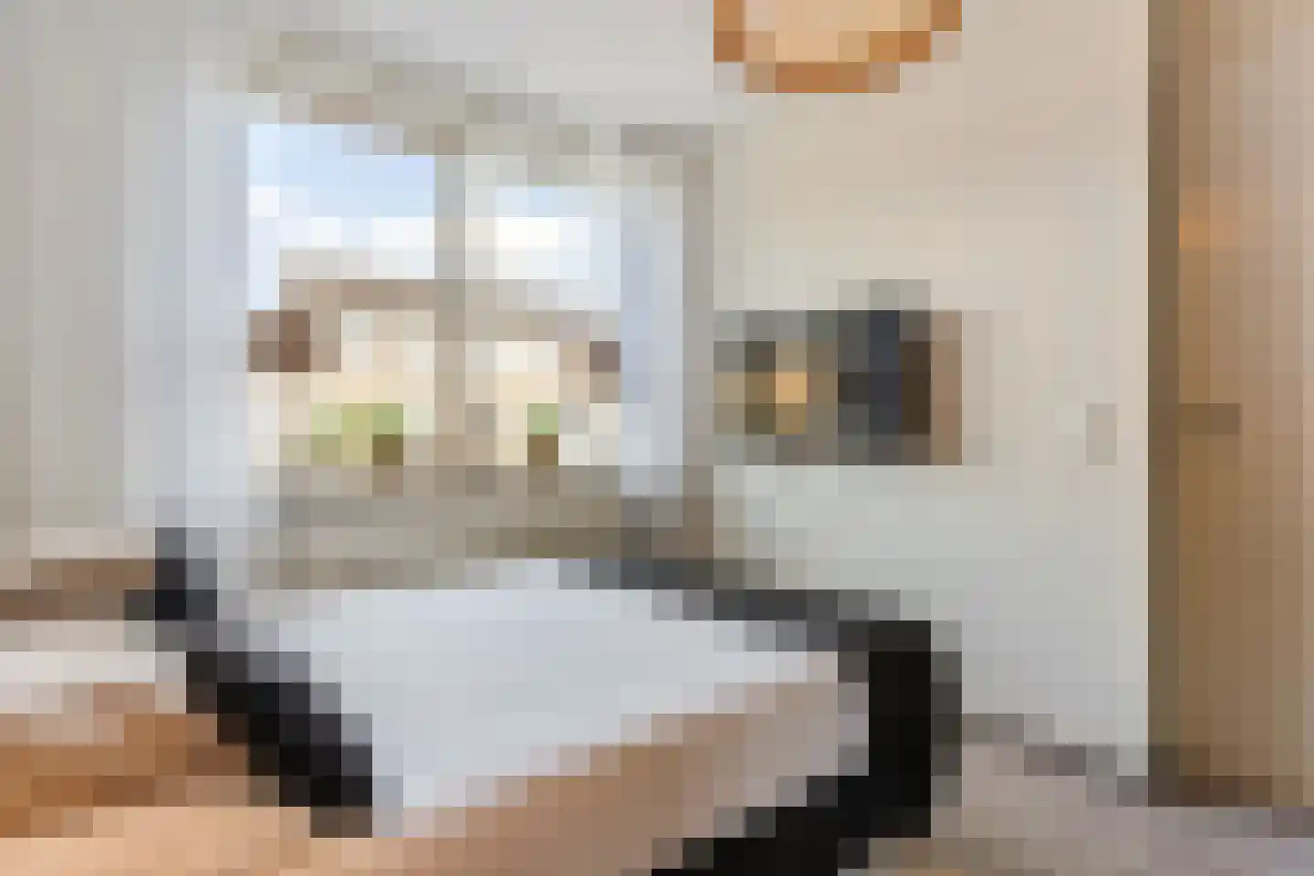 Dilleveld 69 Schiedam thumbnail 25