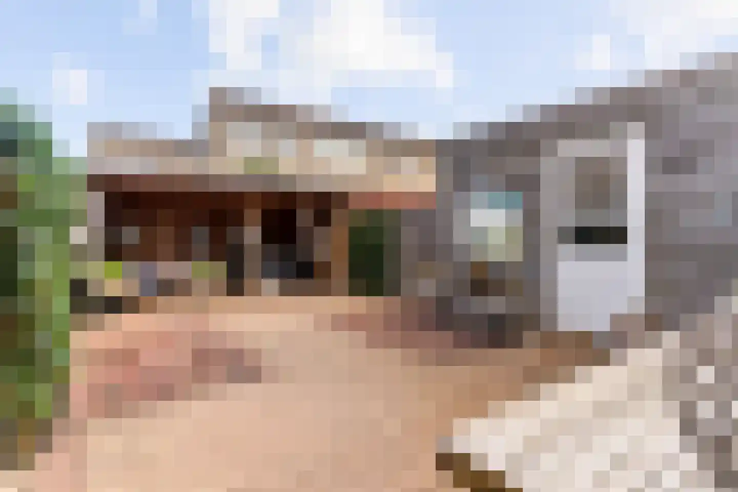 Dilleveld 69 Schiedam thumbnail 35