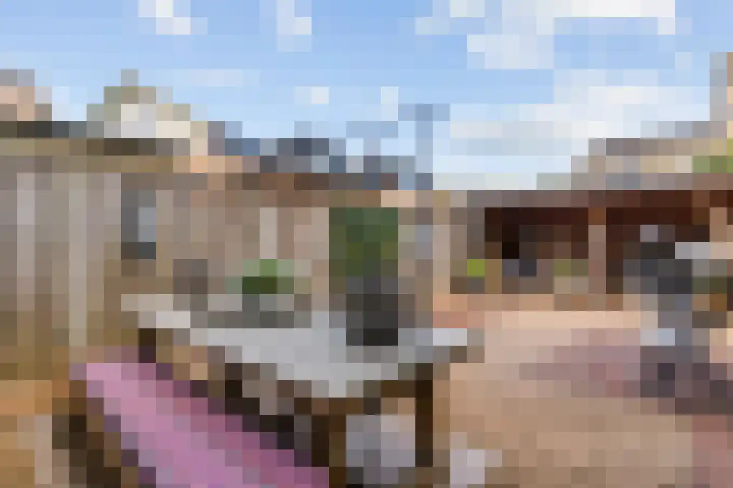 Dilleveld 69 Schiedam thumbnail 36