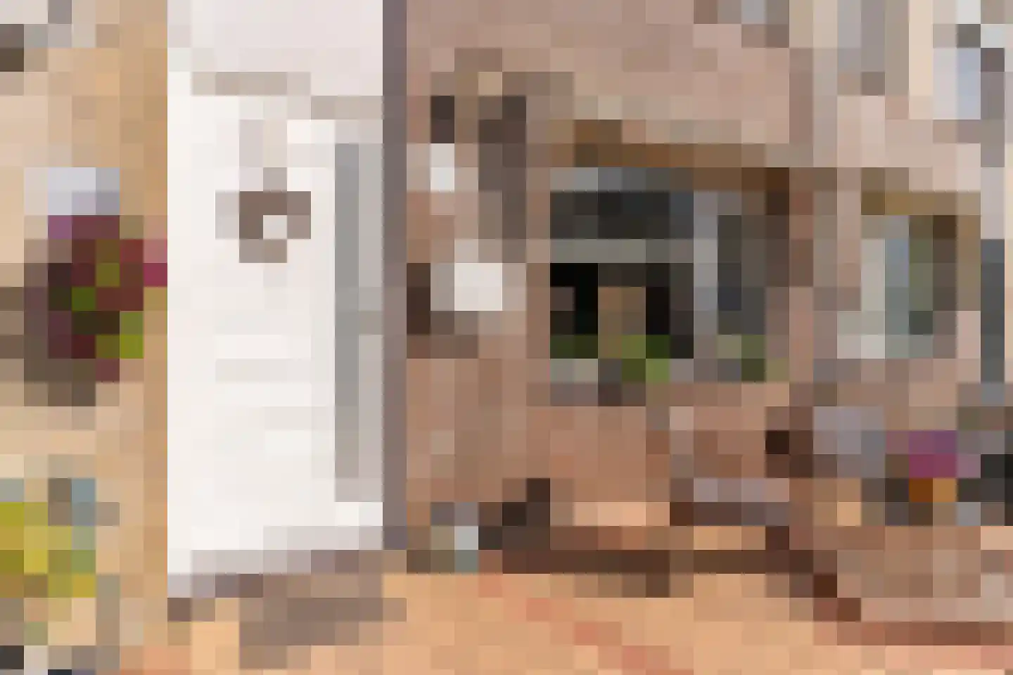 Dilleveld 69 Schiedam thumbnail 5