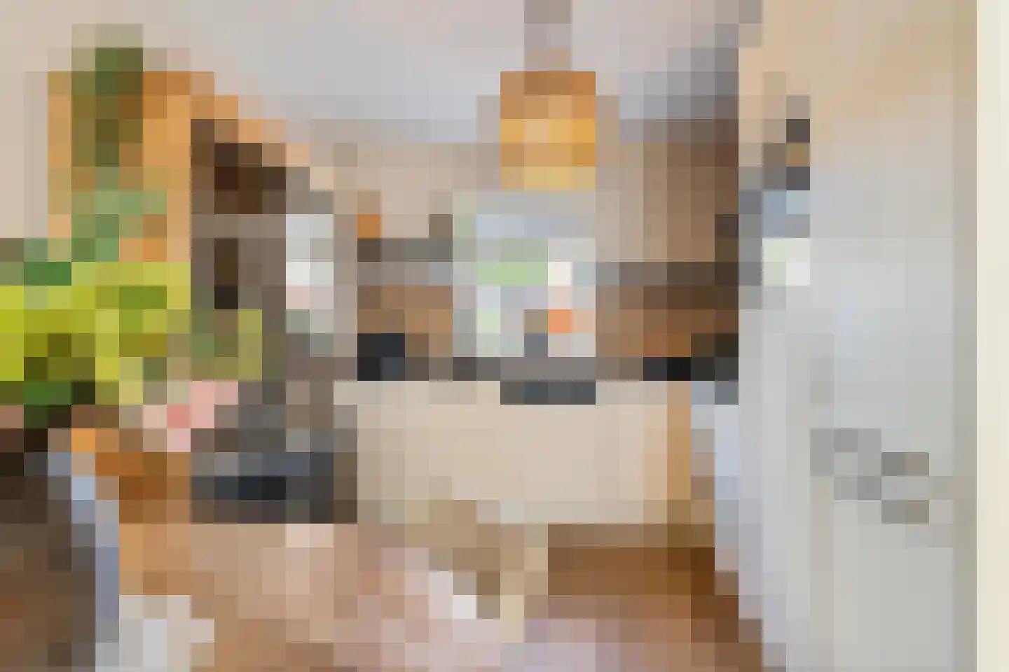 Dilleveld 69 Schiedam thumbnail 9