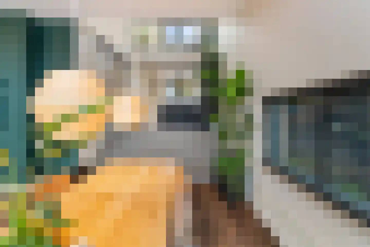 Dilleveld 78 Schiedam thumbnail 19