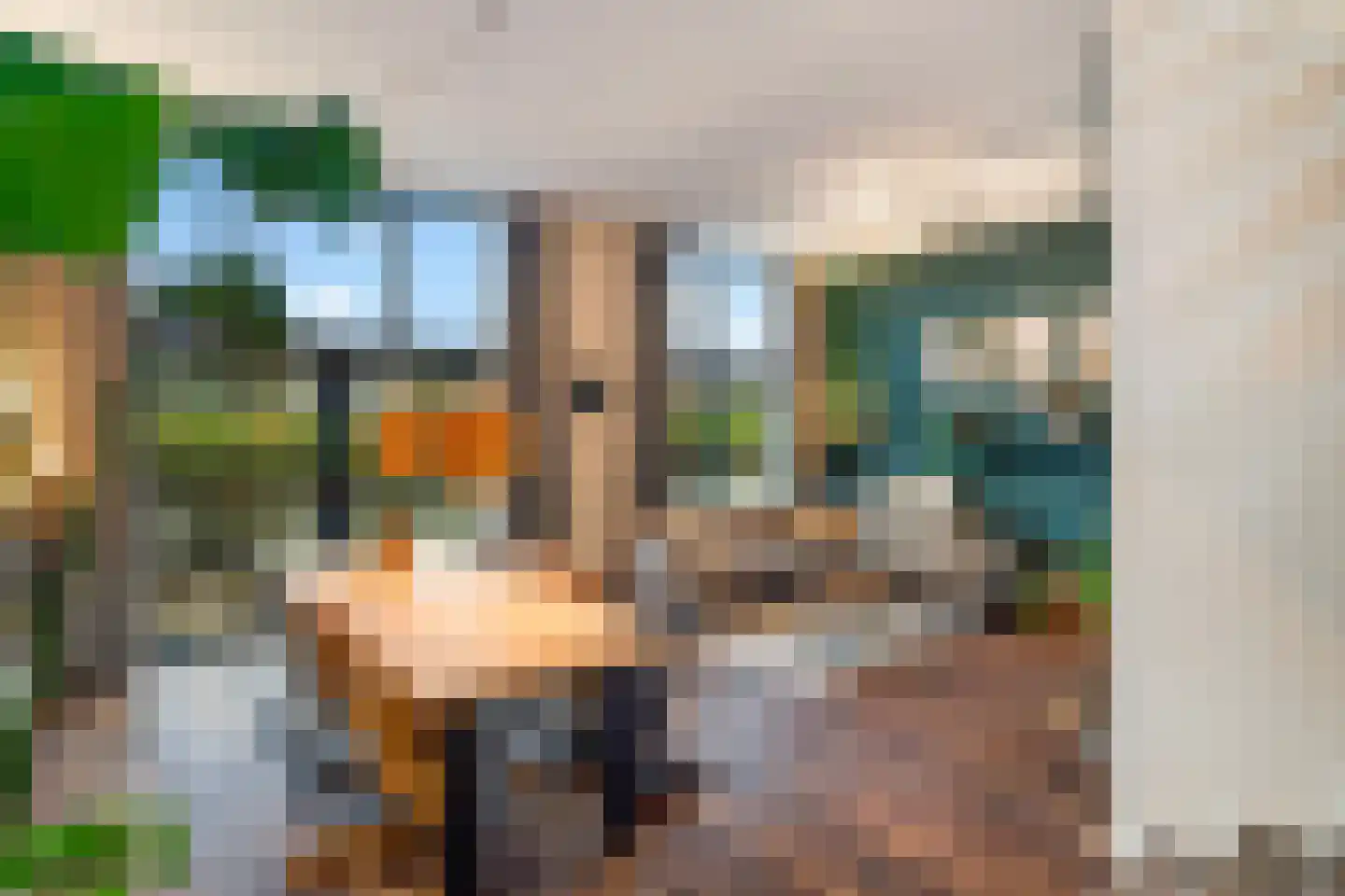 Dilleveld 78 Schiedam thumbnail 21