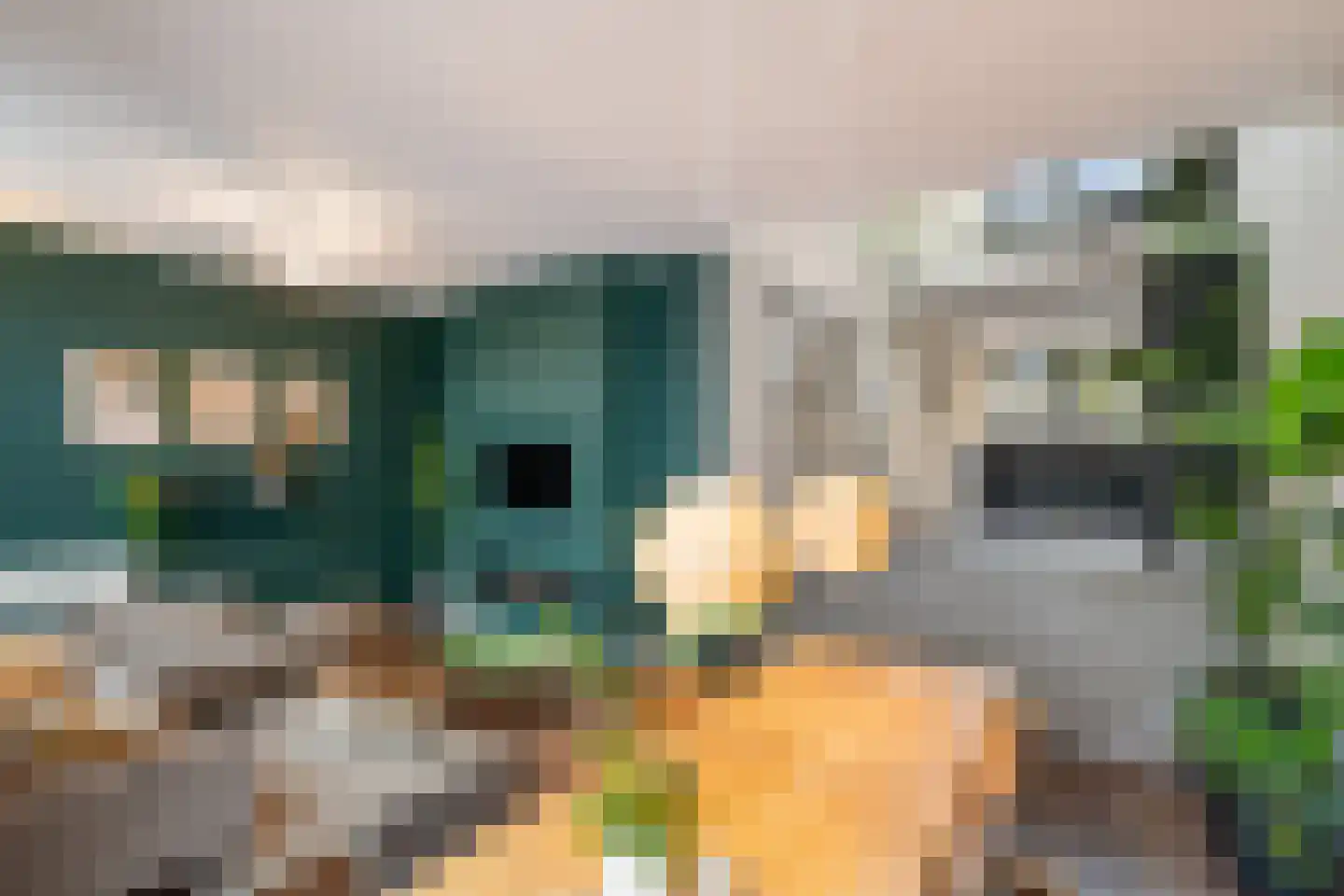 Dilleveld 78 Schiedam thumbnail 26
