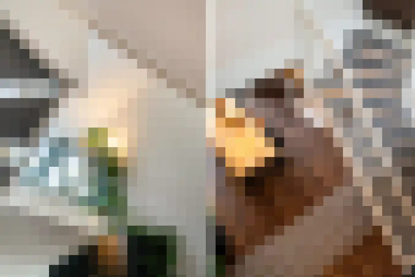 Dilleveld 78 Schiedam thumbnail 37