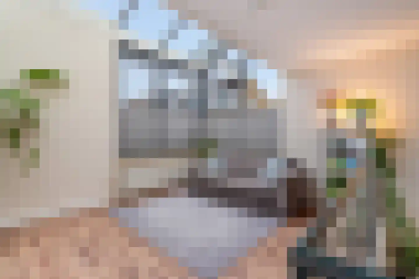 Dilleveld 78 Schiedam thumbnail 47