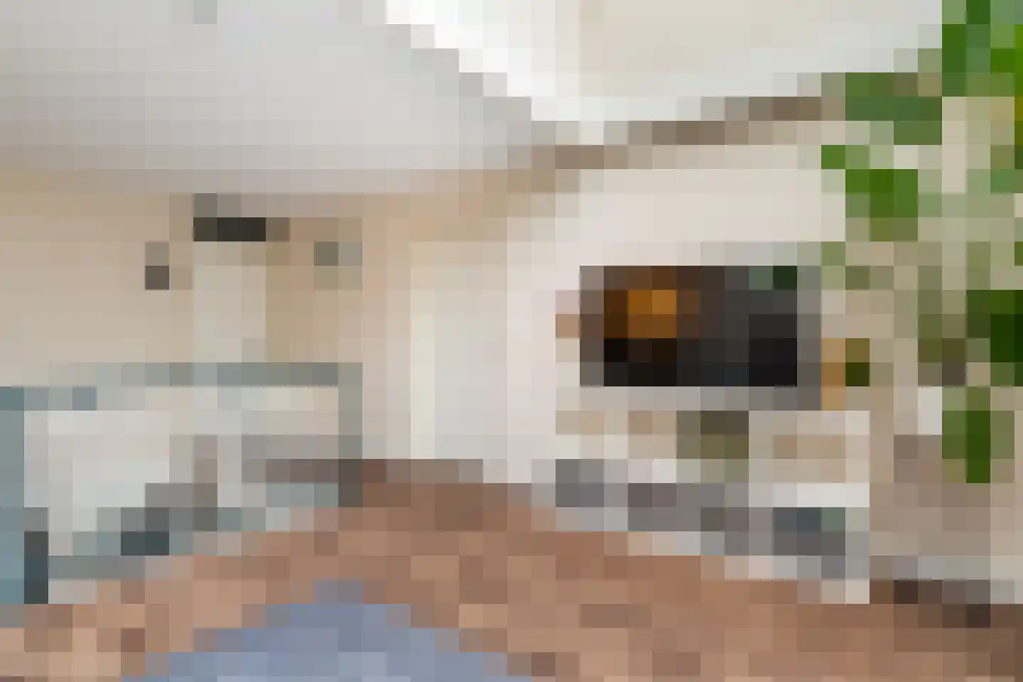 Dilleveld 78 Schiedam thumbnail 49
