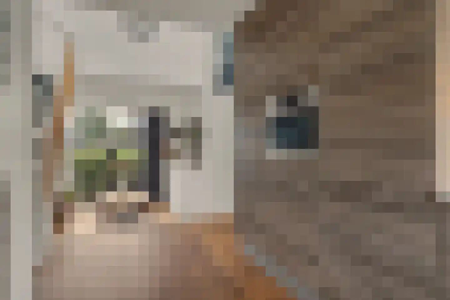 Dilleveld 81 Schiedam thumbnail 22