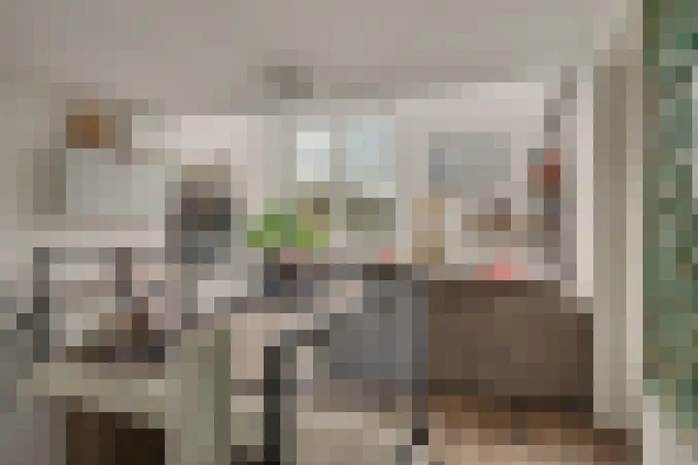 Dilleveld 81 Schiedam thumbnail 23