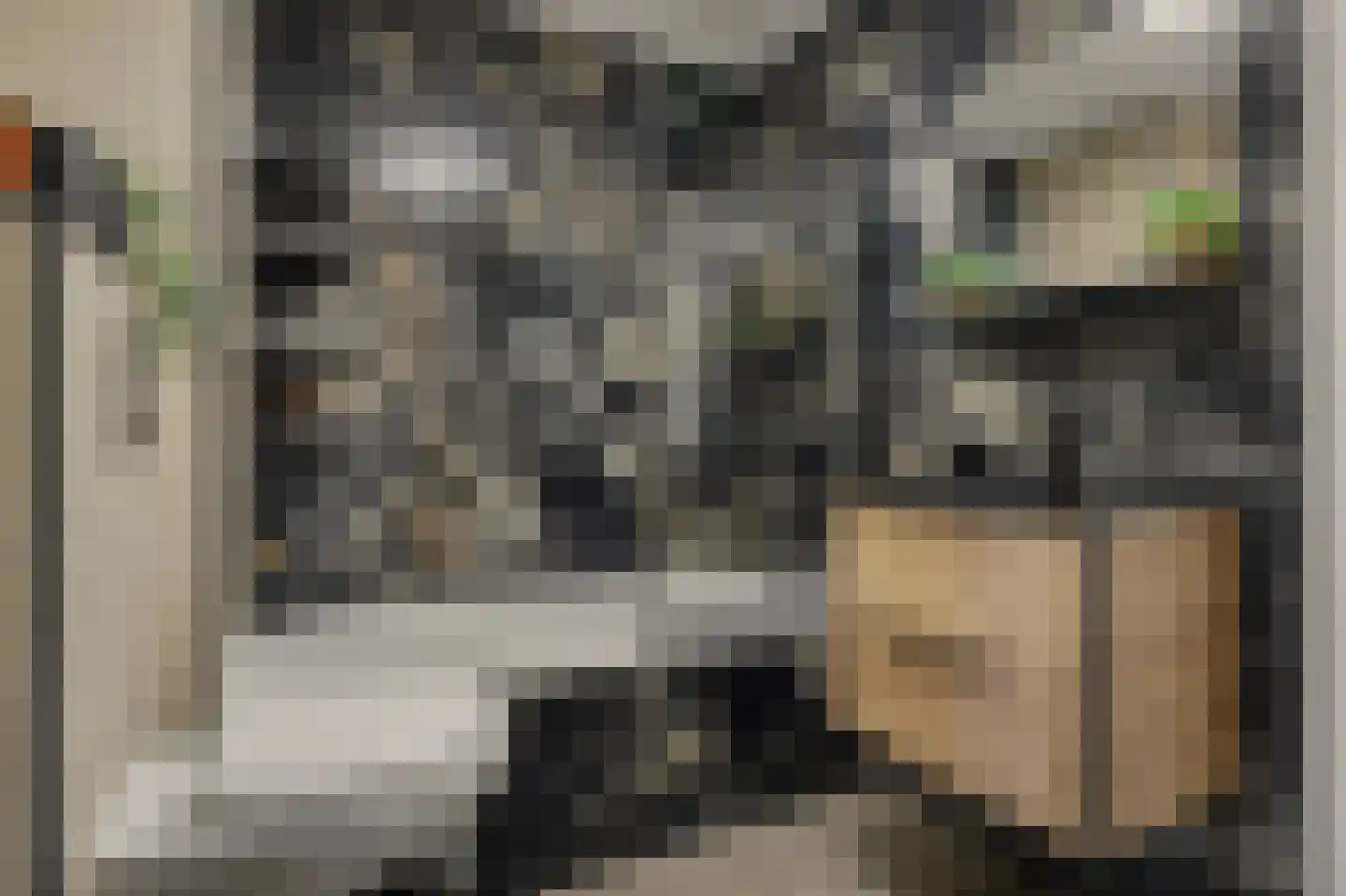 Dilleveld 81 Schiedam thumbnail 38