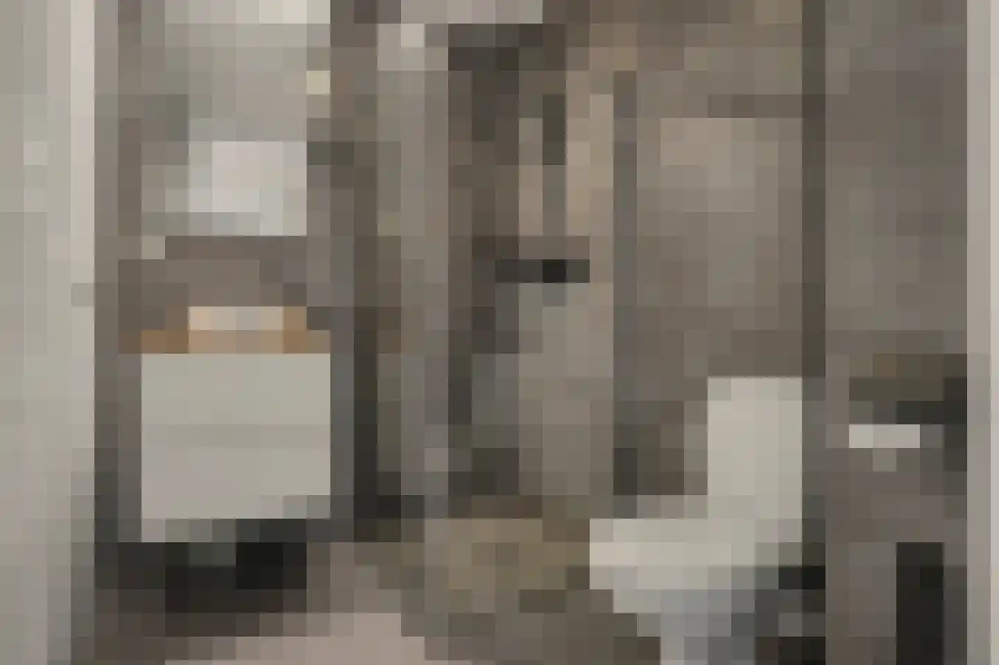 Dilleveld 81 Schiedam thumbnail 41