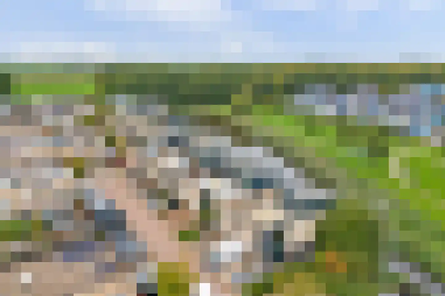Dilleveld 81 Schiedam thumbnail 63
