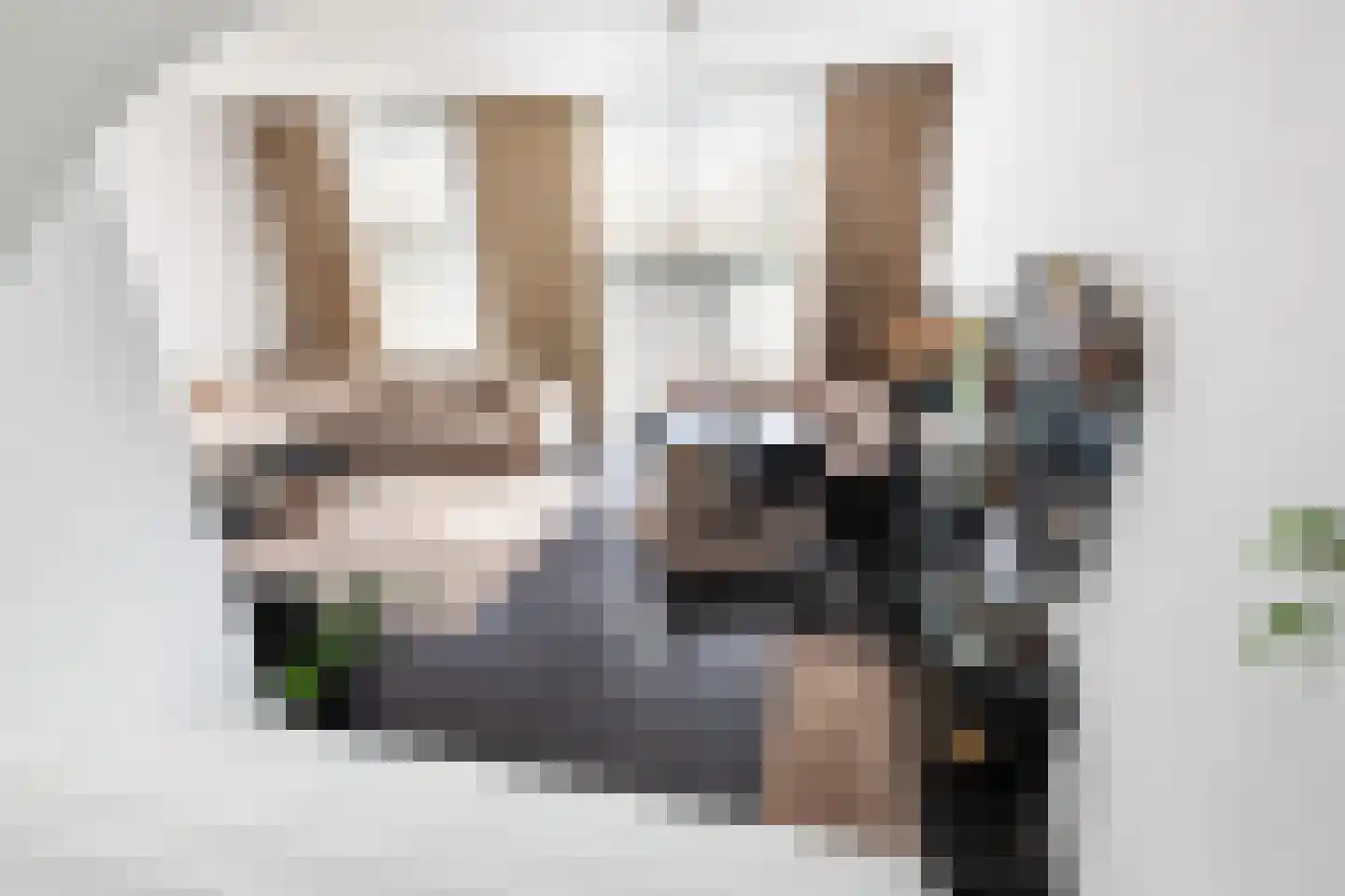 Dilleveld 83 Schiedam thumbnail 17