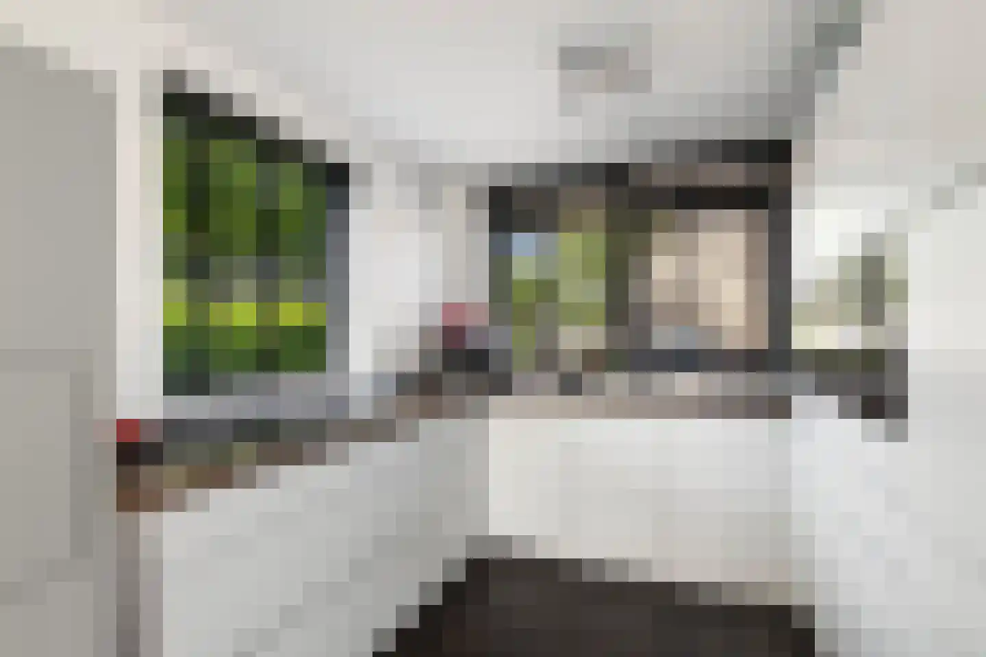 Dilleveld 83 Schiedam thumbnail 24