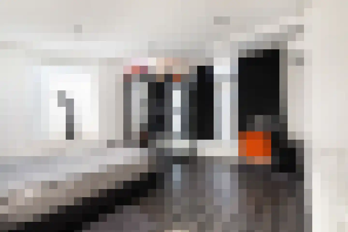 Dilleveld 83 Schiedam thumbnail 40