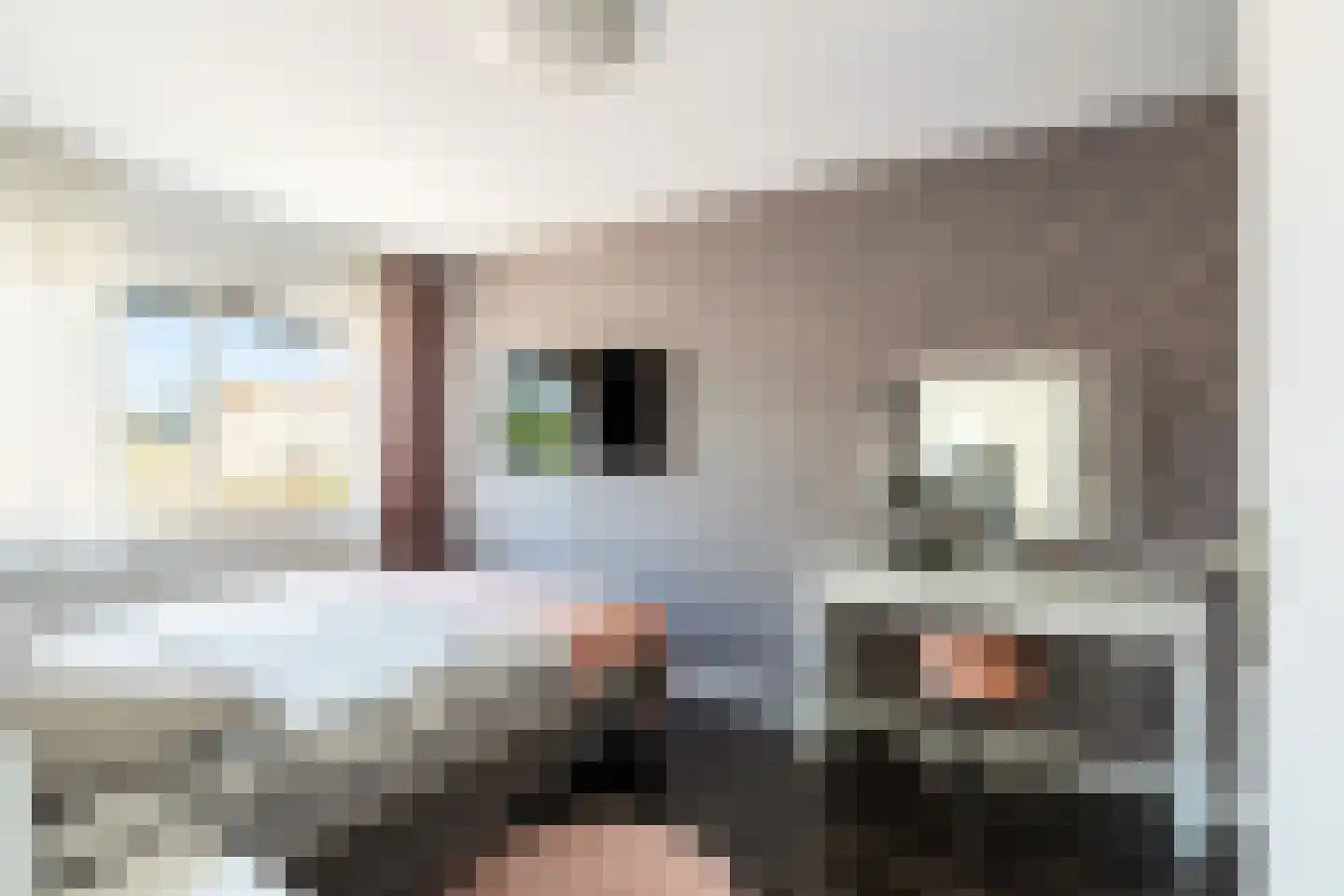 Dilleveld 83 Schiedam thumbnail 42