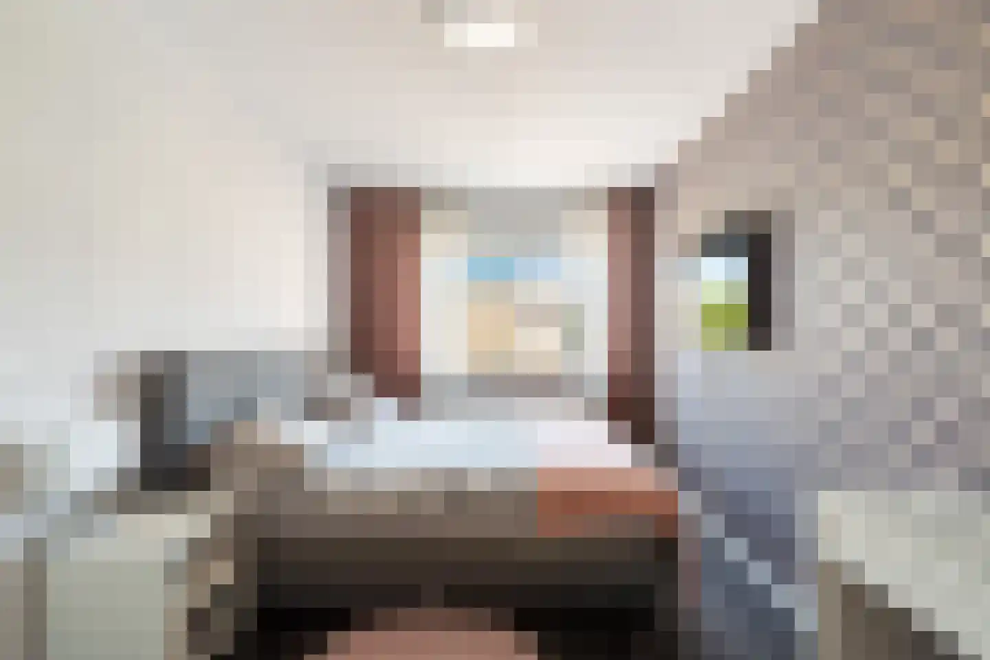 Dilleveld 83 Schiedam thumbnail 43
