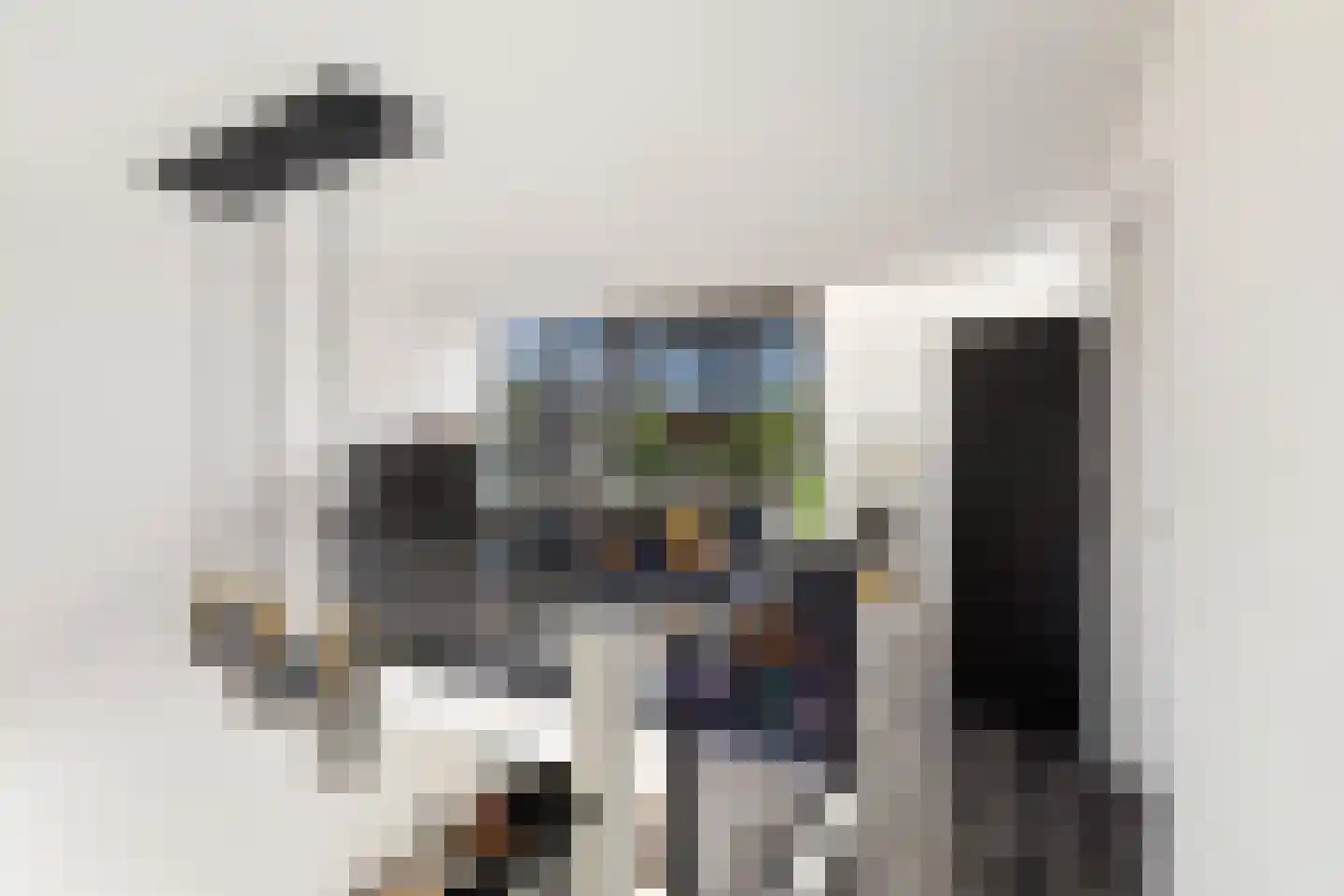 Dilleveld 83 Schiedam thumbnail 48