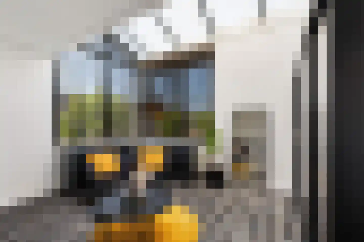 Dilleveld 83 Schiedam thumbnail 49