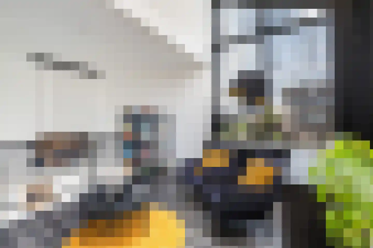 Dilleveld 83 Schiedam thumbnail 50