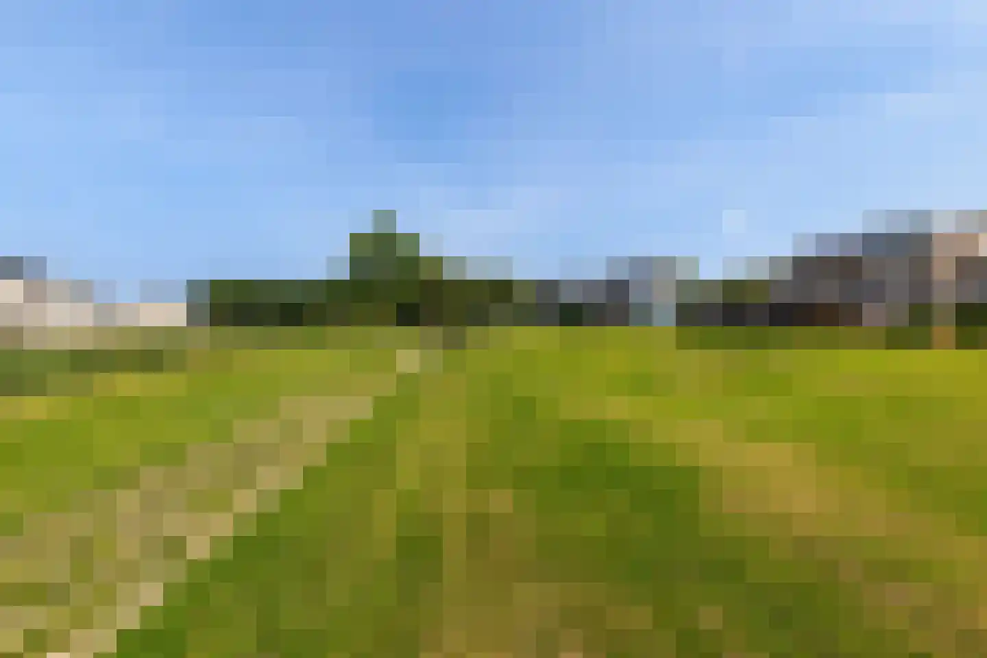 Dilleveld 83 Schiedam thumbnail 63