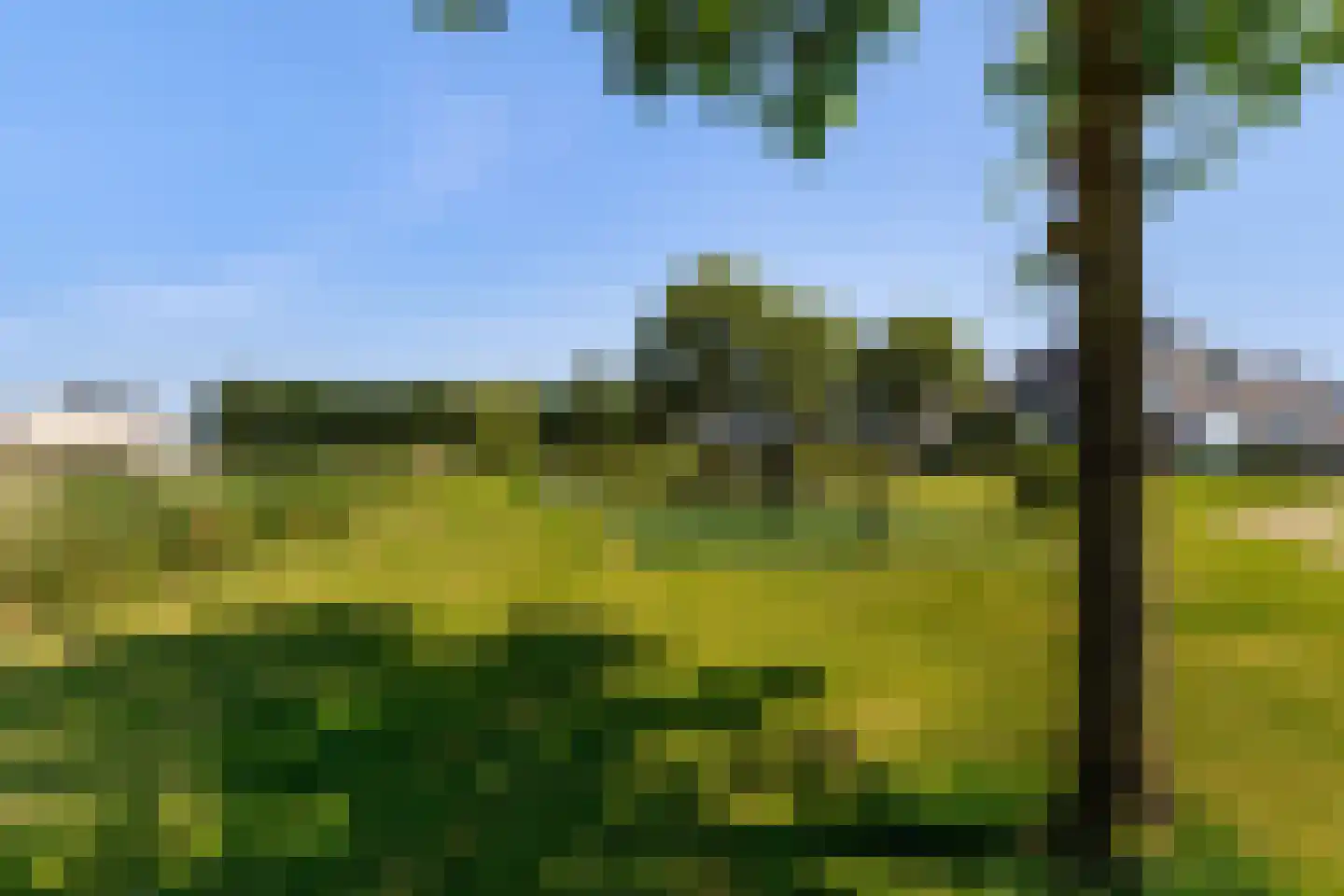 Dilleveld 83 Schiedam thumbnail 64