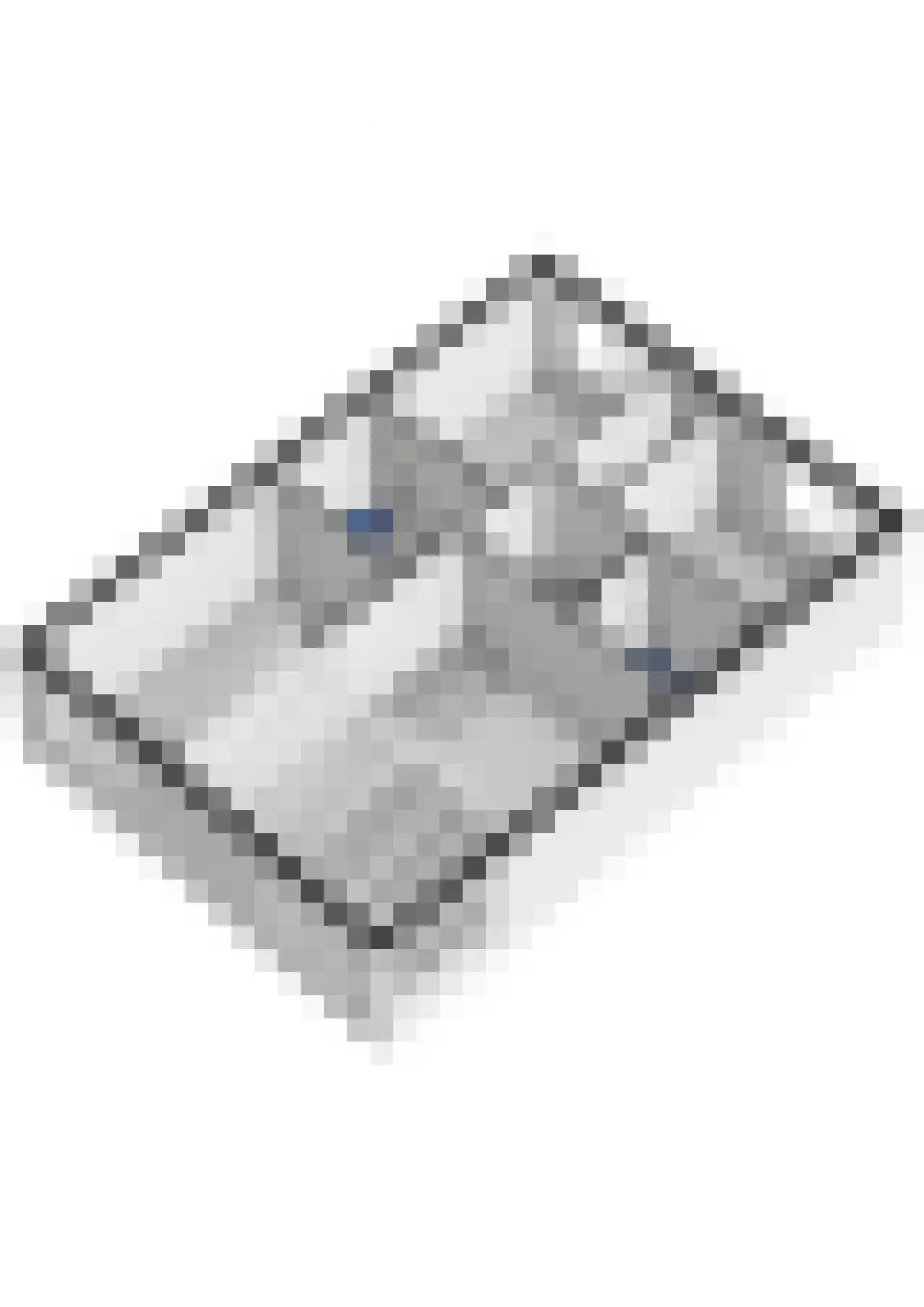 Dilleveld 83 Schiedam thumbnail 72