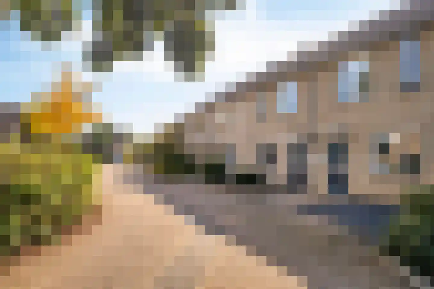Dilleveld 97 Veghel thumbnail 26