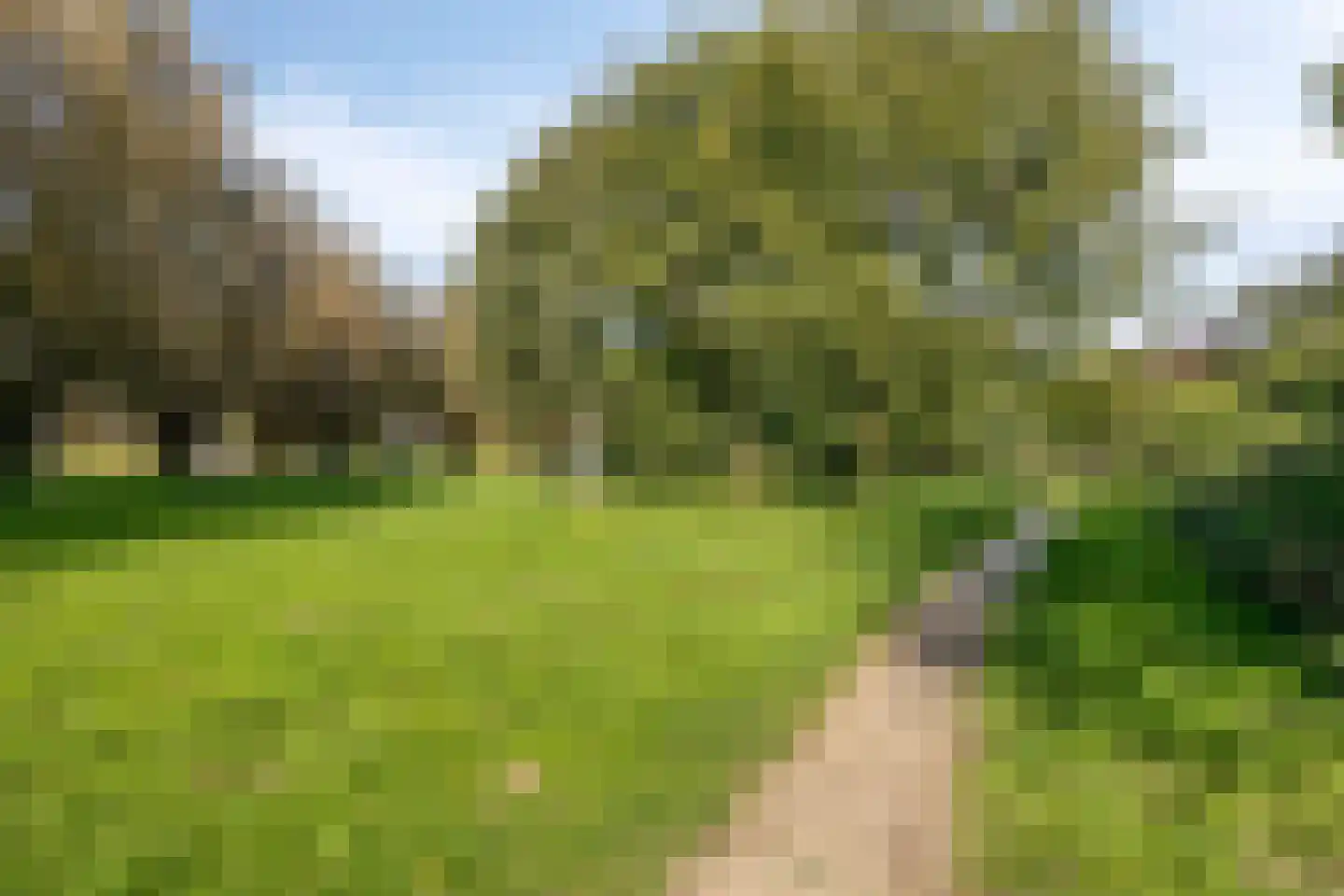 Dilleveld 97 Veghel thumbnail 27