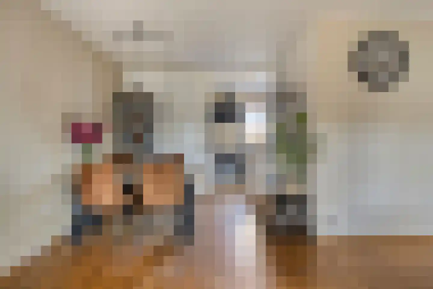 Dilleveld 97 Veghel thumbnail 8