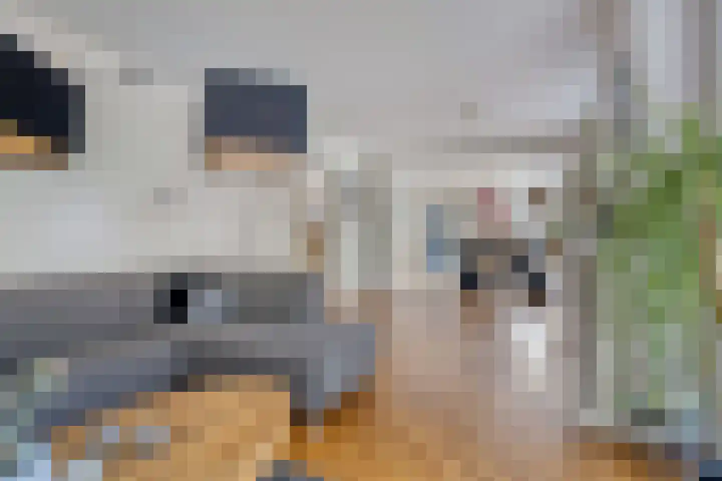 Dillewijnen 2 Veenendaal thumbnail 12
