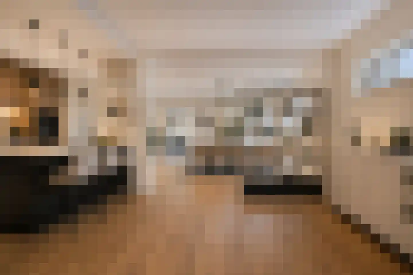 Dillewijnen 2 Veenendaal thumbnail 13