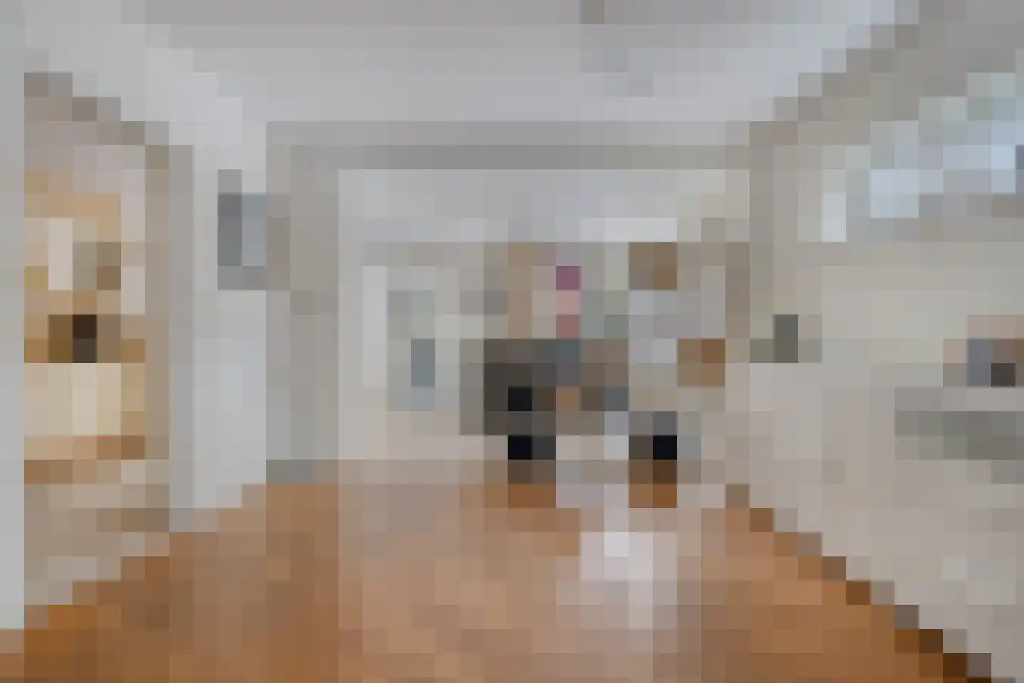 Dillewijnen 2 Veenendaal thumbnail 14