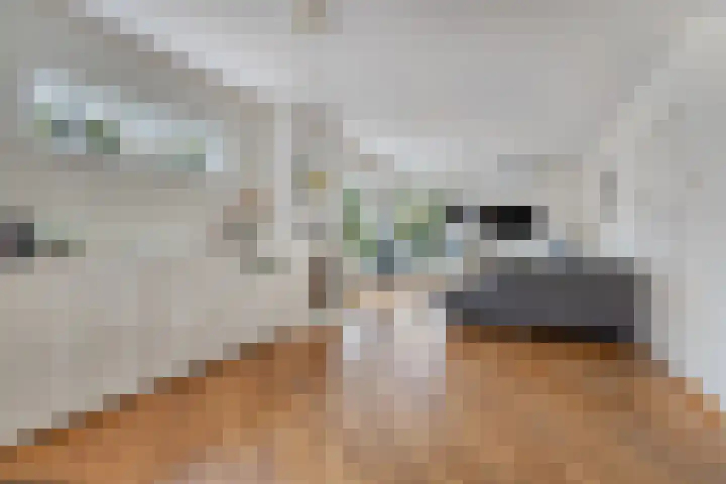 Dillewijnen 2 Veenendaal thumbnail 15